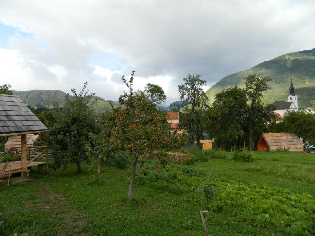 Вілла Glamping Organic Farm Slibar Тржич Екстер'єр фото