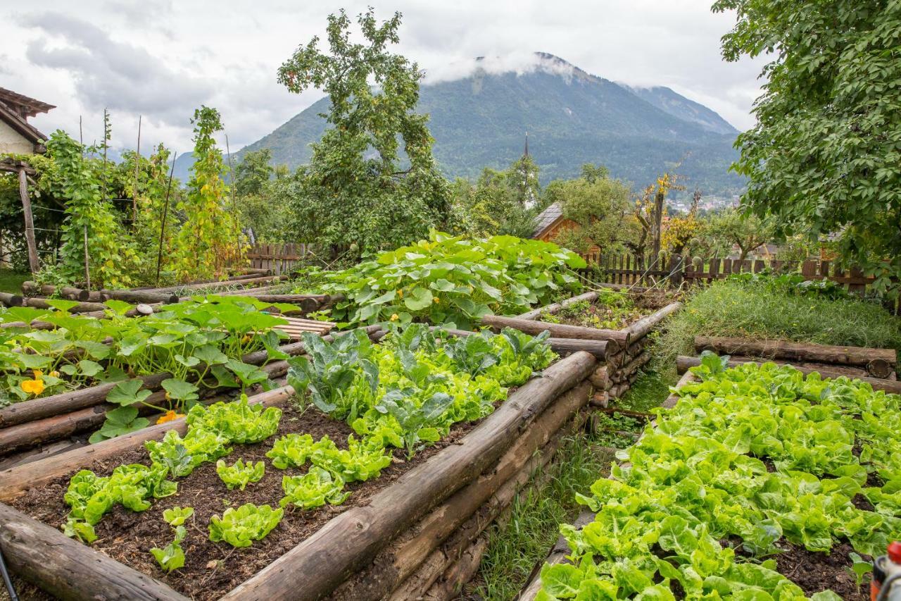 Вілла Glamping Organic Farm Slibar Тржич Екстер'єр фото