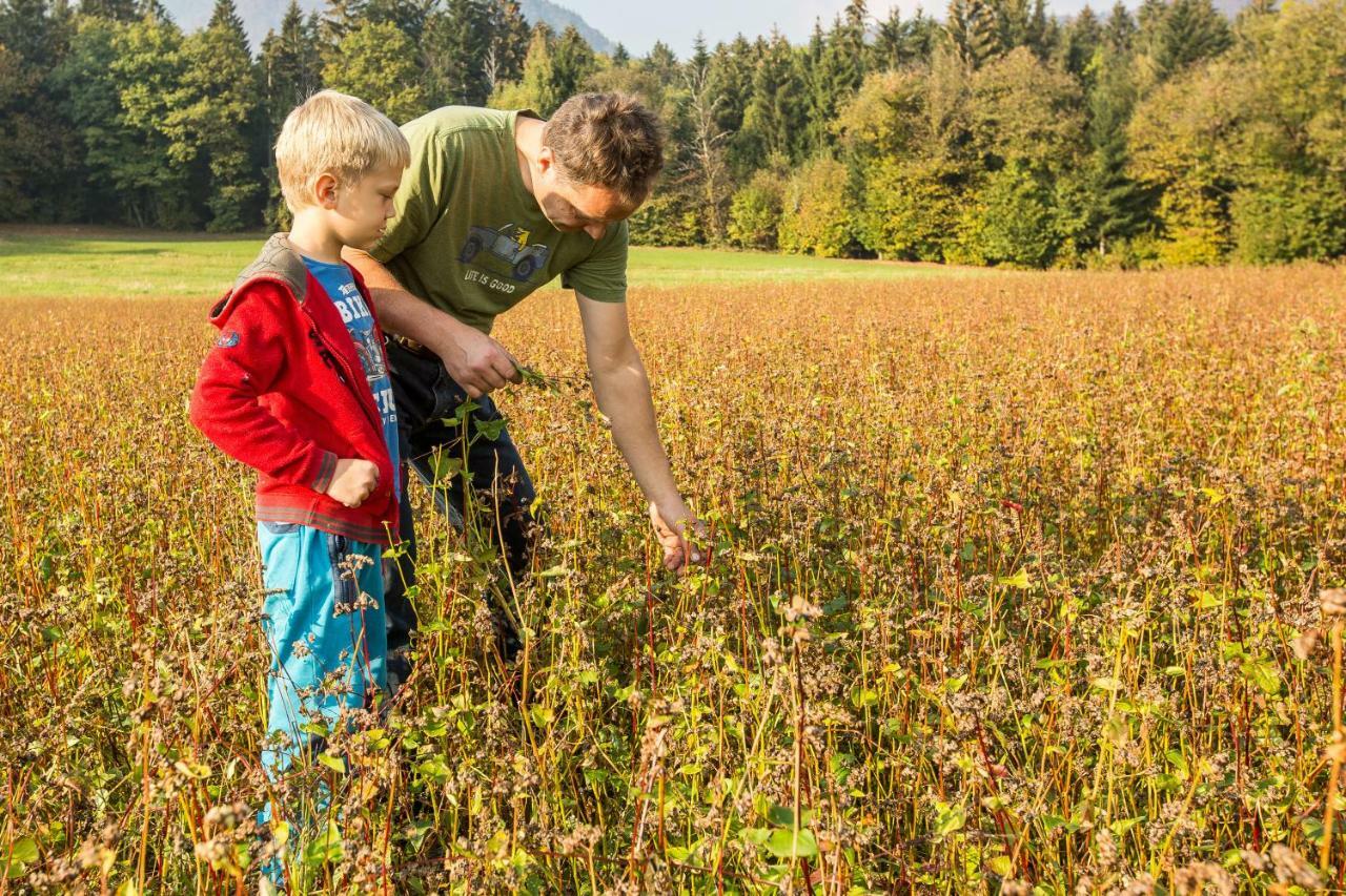 Вілла Glamping Organic Farm Slibar Тржич Екстер'єр фото